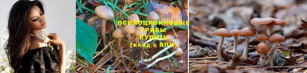 наркотики Дмитриев