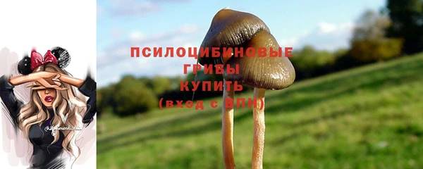мяу мяу мука Дмитров