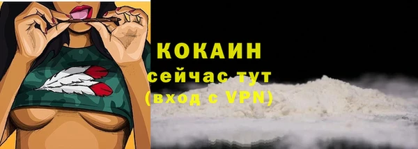 мяу мяу мука Дмитров