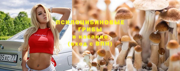 мяу мяу мука Дмитров